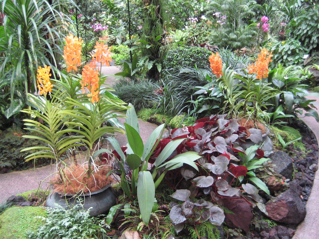 Orchid Gardens