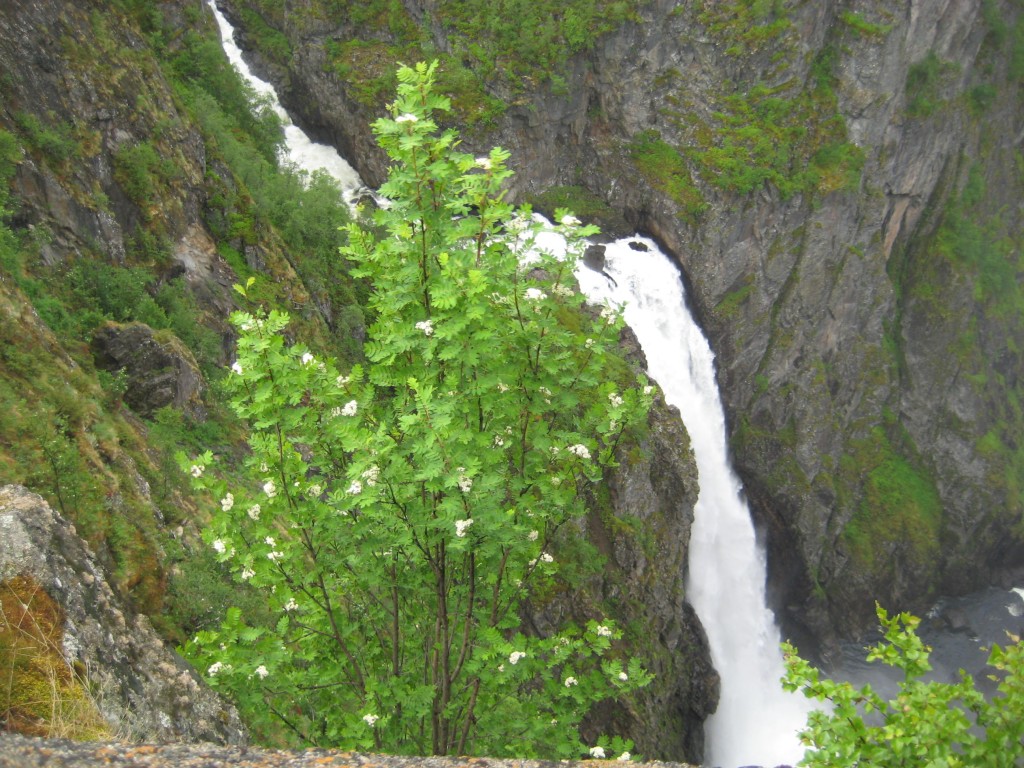 One of the waterfalls near the hotel